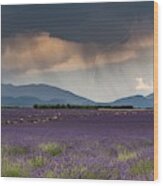 Lightning Over Lavender Field Wood Print