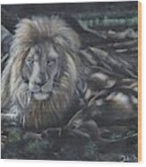 Lion In The Shade Wood Print