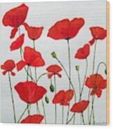 Litter Of Poppies Wood Print