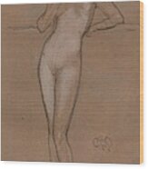 Little Nude, C1888 Wood Print