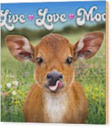 Live Love Moo Wood Print