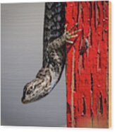 Lizard On Red Wood Print