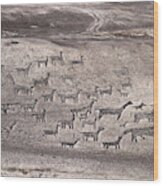 Llama Geoglyphs At Tiliviche Chile Wood Print