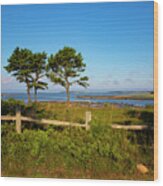 Loagy Bay, Wellfleet Wood Print