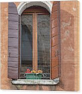 Lone Window Of Venice Wood Print
