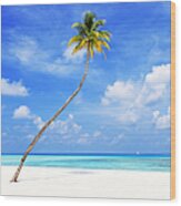 Lonely Palm On Tropical Beach Wood Print