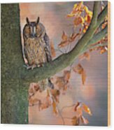 Long-eared Owl Wood Print