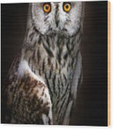 Long-eared Owl Portrait Wood Print