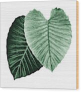 Love Leaves Evergreen Him And Her #2 #decor #art Wood Print