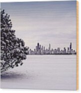 Lovely Winter Chicago Wood Print