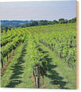 Lover's Leap Vineyards Wood Print