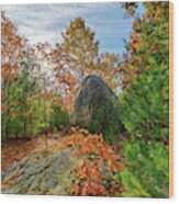 Lynn Woods Dungeon Rock Fall Foliage Lynn Massachusetts Wood Print