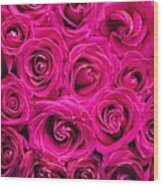 Magenta Roses Wood Print