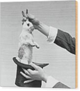Magician Pulling Rabbit Out Of Hat Wood Print