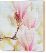 Magnolias Are Blooming Again, It Must Be Spring Wood Print