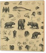 Mammals Wood Print