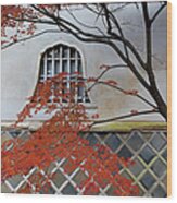 Maple Tree At Shinnyo-do Temple In Wood Print