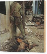 Marine Next To Remains Of Viet Cong Wood Print