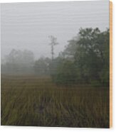 Marsh Fog Gospel Wood Print