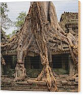 Massive Tree Roots At Preah Khan Temple Wood Print