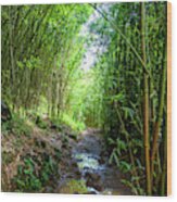 Maui Bamboo Forest Wood Print
