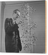 Maurice Wilkins Studying Dna Molecular Wood Print