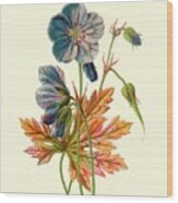 Meadow Cranes-bill 1 Wood Print