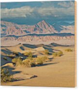 Mesquite Flat Sand Dunes At Sunset Wood Print