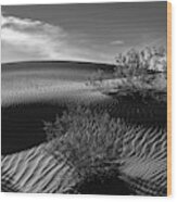Mesquite Flats Sand Dunes In Black And White Wood Print