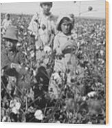 Mexican Field Laborers In Cotton Field Wood Print