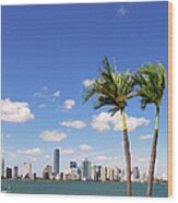 Miami Skyline Wood Print