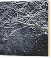 Midnight In Winter Wood Print