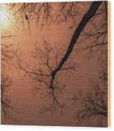 Midwest Trees On Fire Wood Print