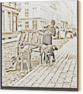 Milk Wagon, Street Scene, Germany, C. 1900, Vintage Photo Wood Print