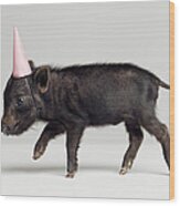 Miniature Piglet Wearing Party Hat Wood Print