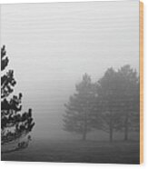 Misty Pines Wood Print