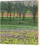 Monet's Orchard Wood Print
