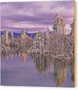 Mono Lake Tufa Reflection Wood Print