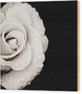 Monochrome Rose With Rain Drops Wood Print
