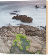 Monterey (122) Wood Print