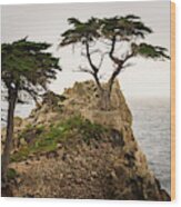 Monterey Peninsula Ii Color Wood Print