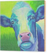 Moo Now Blue Cow Wood Print