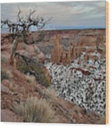 Moon Rising Over Grand View Point In Colorado National Monument Wood Print