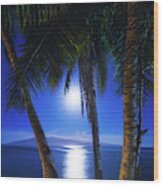 Moonlight Palms Wood Print