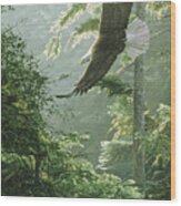 Morning Flight - Eagle Wood Print