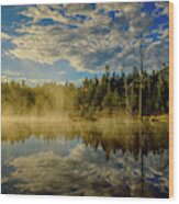 Morning Mist, Wildlife Pond Wood Print