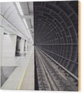 Moscow Metro - Yin And Yang Wood Print
