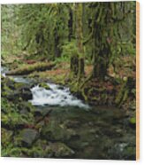 Mossy Cascade Wood Print