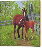 Mother's Love, Machias Ny Wood Print