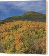 Mountain Summit In Fall Colors Wood Print